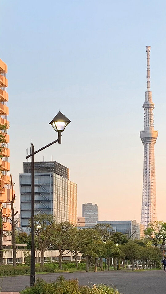 コイト電工 東京都墨田区　東白鬚公園